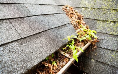 Protect Your Festus Home: The Importance of Professional Gutter Cleaning this Season