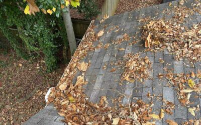 Prepare Your Home for Winter: Why Gutter Clean-Out Is Essential in Festus, Missouri, and Surrounding Areas