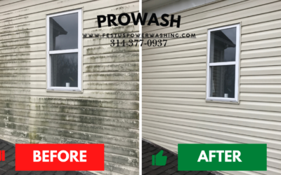 Soft Washing in Festus, Missouri: The Safe and Effective Way to Clean Your Home’s Exterior