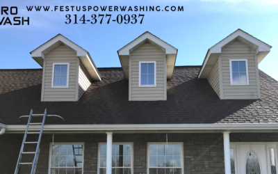 Hard-to-Reach Dormers? We’ve Got It Covered! Expert Roof Cleaning and Window Cleaning in Festus, Missouri