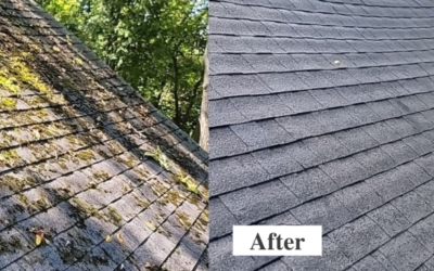 Say Goodbye to Winter Grime – Book Your Roof Cleaning with ProWash Now in Festus, Missouri!