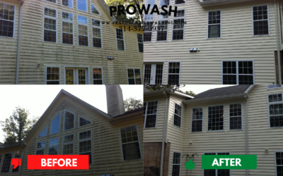 Protect Your Home with Professional Siding Cleaning in Festus, Missouri