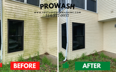 Bring Your Home Back to Life: Professional House Washing Services in Festus, Missouri