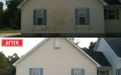 House Looking Green? Here’s Why Professional House Washing in Festus, MO Matters More Than You Think