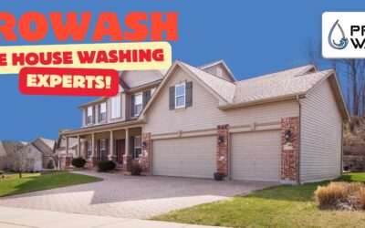 Transform Your Curb Appeal with ProWash: The Trusted House Washing Experts in Festus, Missouri