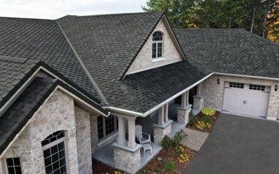 Roof and Gutter Cleaning in Festus, Missouri: Protect Your Home from Top to Bottom