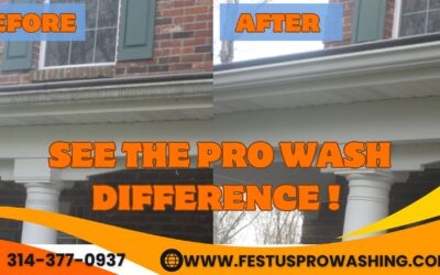 Restore Your Home’s Shine: Professional Soffit, Fascia, and Gutter Cleaning in Festus, Missouri