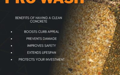 Revitalize Your Home with Professional Concrete Cleaning in Festus, Missouri