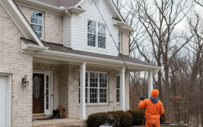 Winter Window Cleaning in Festus, Missouri: Brighten Your Home During the Darkest Months