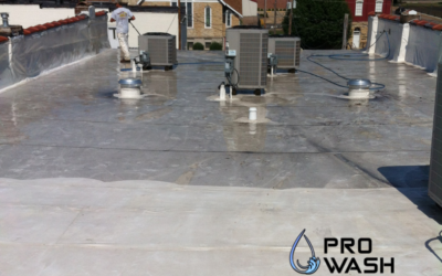 Flat Roof Cleaning in Festus, Missouri: Removing Algae, Dirt, and Moisture Buildup the Right Way