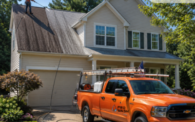 Roof Cleaning in Festus, Missouri: Remove Black Streaks with Professional No-Pressure Roof Cleaning